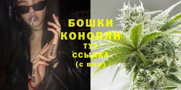 PSILOCYBIN Нея