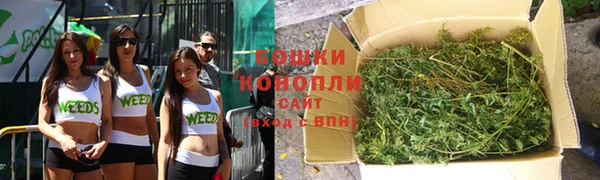 не бодяженный Алапаевск