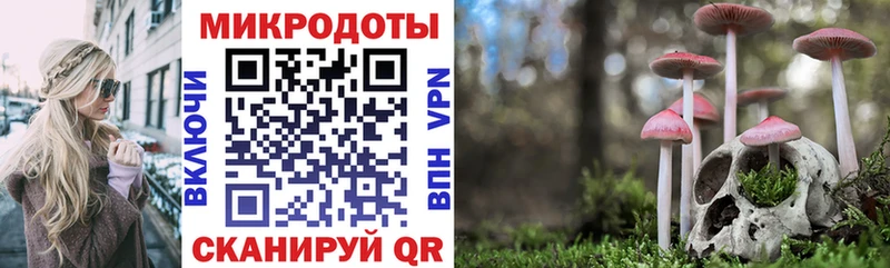 Псилоцибиновые грибы MAGIC MUSHROOMS  Кострома 
