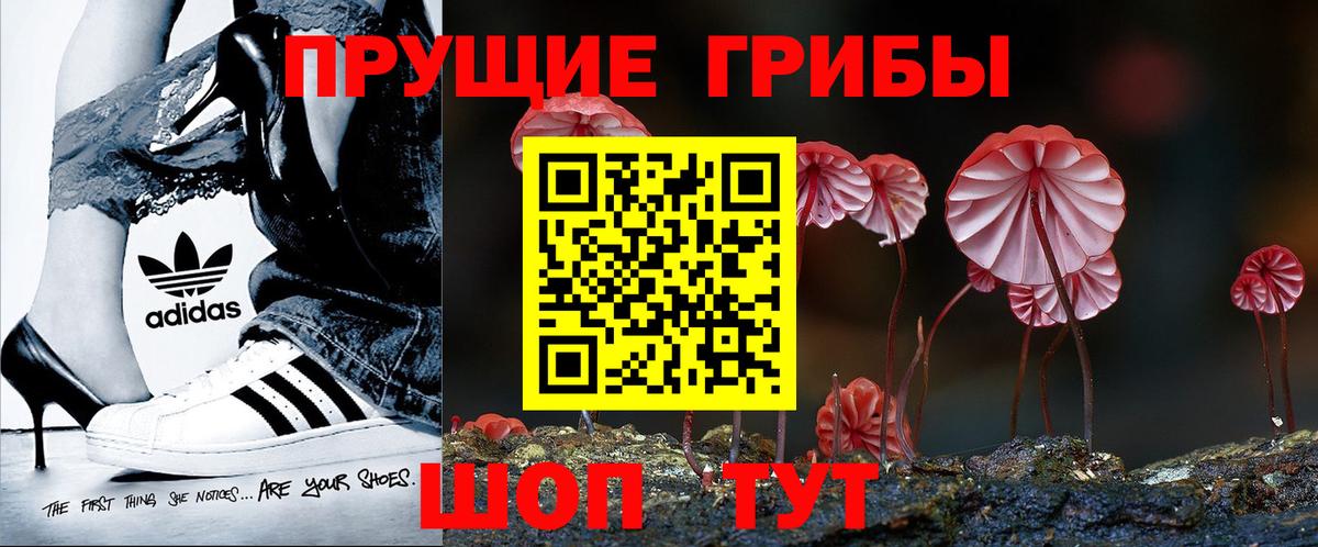 Кострома  Галлюциногенные грибы Psilocybine cubensis  Вход с VPN 