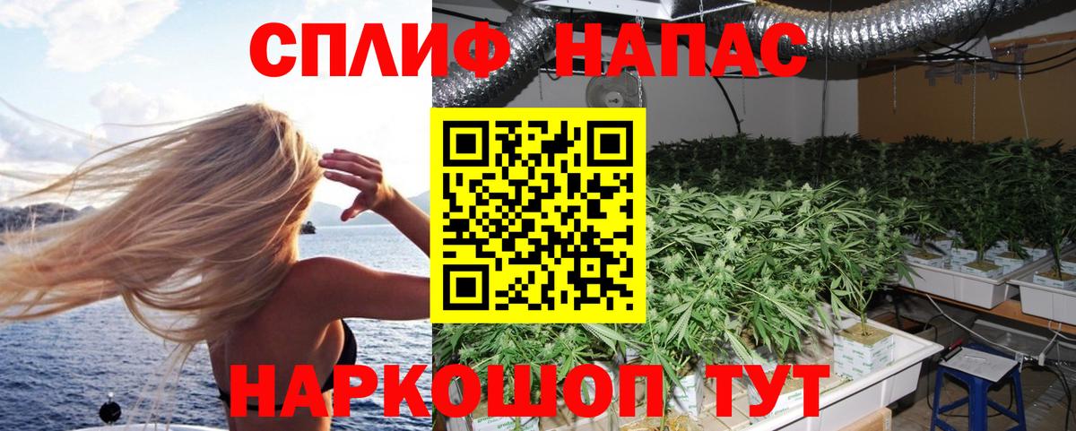 Бошки Шишки марихуана Кострома